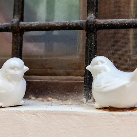 شقة Evanthias Home!